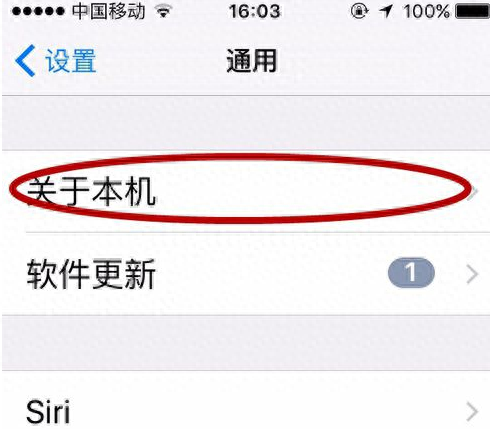 苹果11怎么查询激活时间