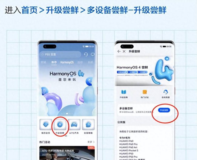 华为手机怎么升级鸿蒙系统教程