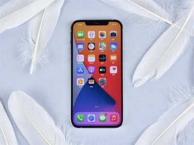 12pro和promax哪个更值得买 详解iphone12promax的优缺点