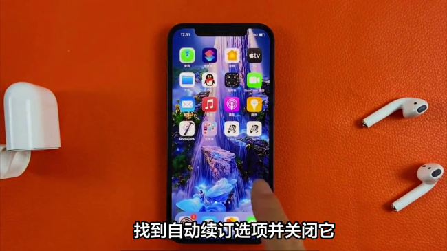 苹果手机怎么样取消自动续费功能