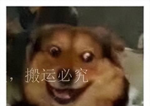 目前最强三防手机有哪些
