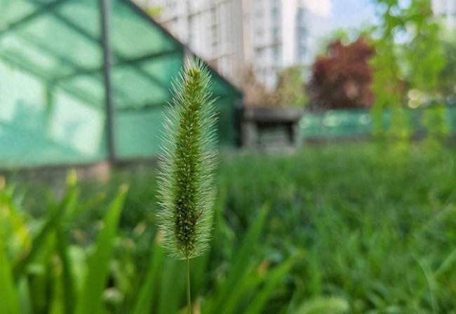 荣耀magic3pro拍照排名