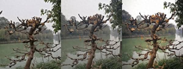 mate8参数和目前哪款手机参数