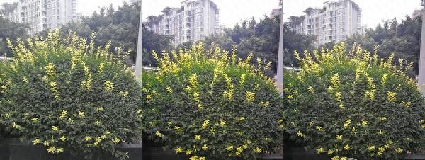 mate8参数和目前哪款手机参数