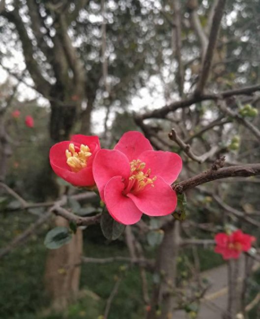 mate8参数和目前哪款手机参数
