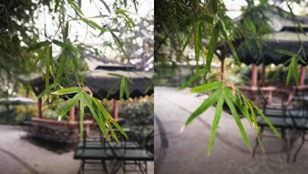 mate8参数和目前哪款手机参数