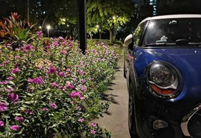 荣耀20青春版摄像头型号