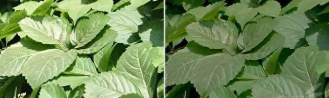 飞利浦显示器屏幕控制锁定怎么解锁