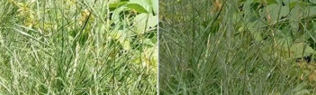 飞利浦显示器屏幕控制锁定怎么解锁