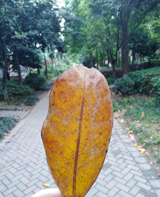 华为畅享7plus玩游戏怎么样