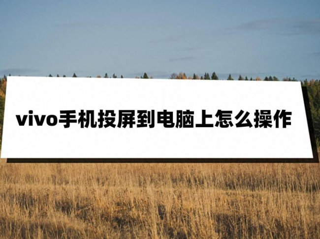 vivox30如何连接电脑传文件