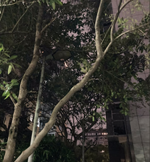 苹果se2摄像头属于哪个级别的手机