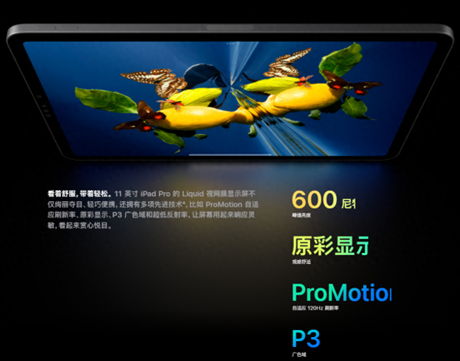 苹果平板最新款是哪一款