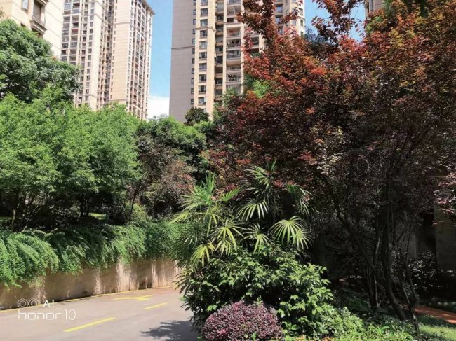 荣耀10配置详细参数对比
