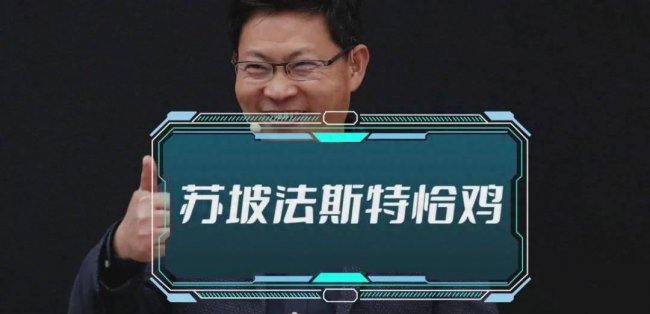 华为mate系列哪个型号最好用