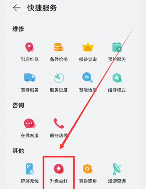 华为mate