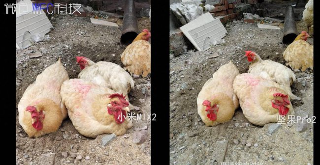锤子pro2怎么强制恢复出厂设置教程