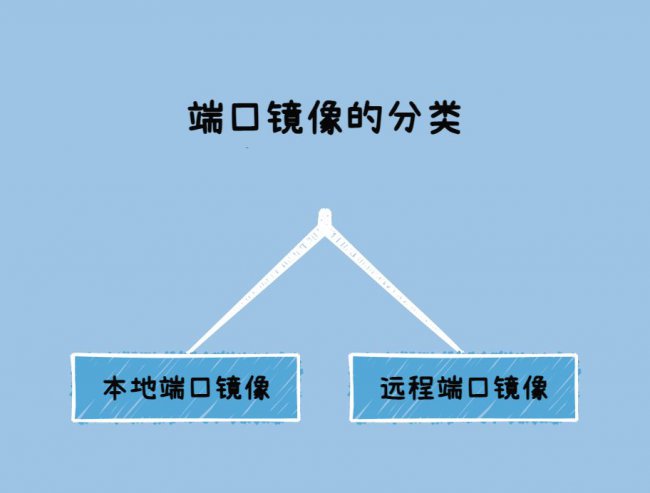 端口镜像的分类有哪些