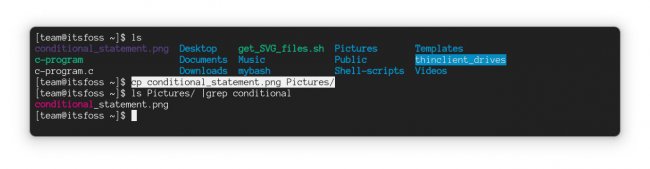 Linux系统使用cp命令用法教程详解