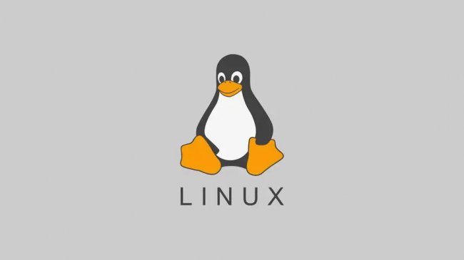 Linux端口查询命令的使用方法和应用场景