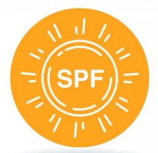 增量SPF的原理详解 增量SPF的工作原理解析