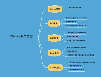 OSPFv3报文类型有哪几种以及其作用