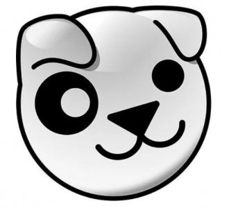 Puppy Linux安装教程详细步骤