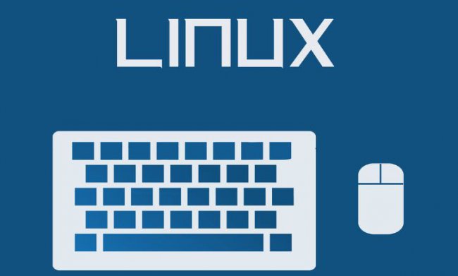 linux常用分区命令详解