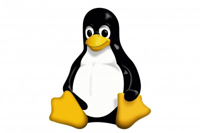 linux内核引导时从文件哪个中读取