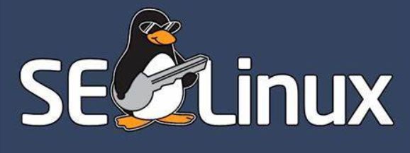 Linux Shell脚本实战: 系统防火墙和SELinux的关闭策略