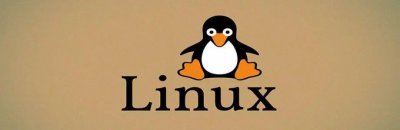 使用Linux Shell脚本批量修改服务器用户密码的详细指南
