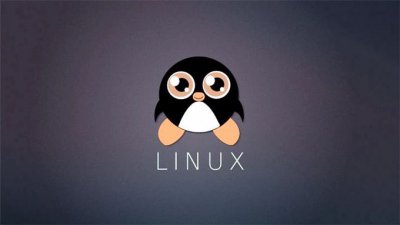 Linux Shell脚本编写实践：如何根据PID过滤进程所有信息