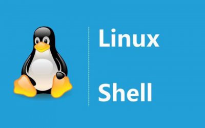 Linux Shell脚本编写实践：如何根据用户名查询用户相关信息
