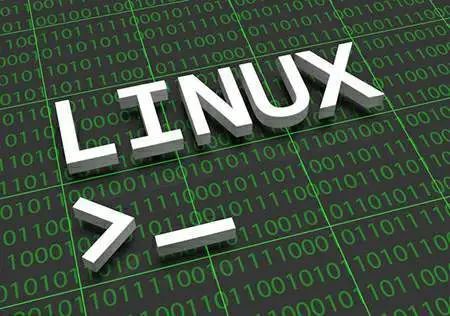 Linux环境下判断文件是否存在的详细方法解析