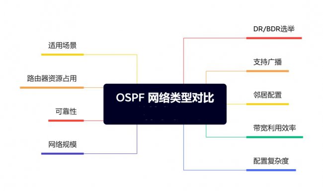OSPF网络类型对比