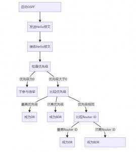 DR/BDR选举过程流程图 DR/BDR选举过程流程简图