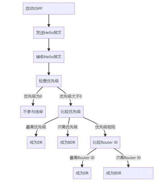 DR/BDR选举过程流程图
