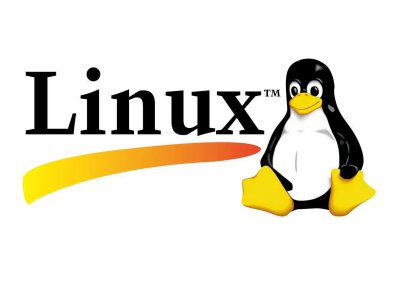 Linux source命令的深入解析与实践教程