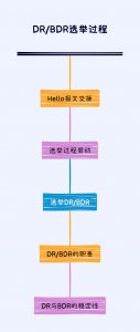 DR/BDR选举过程 DR/BDR选举程序简述