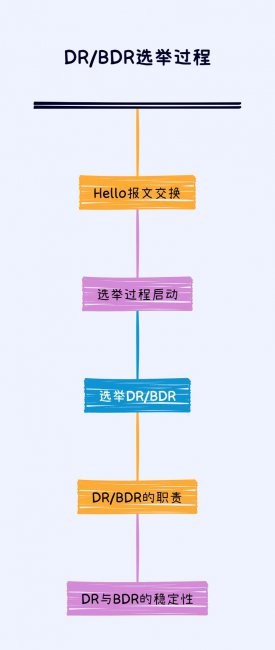 DR/BDR选举过程