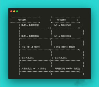 OSPF数据包交换基本流程 OSPF数据包传输流程