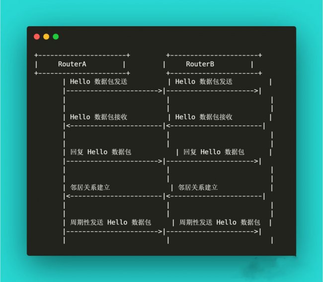 OSPF数据包交换基本流程
