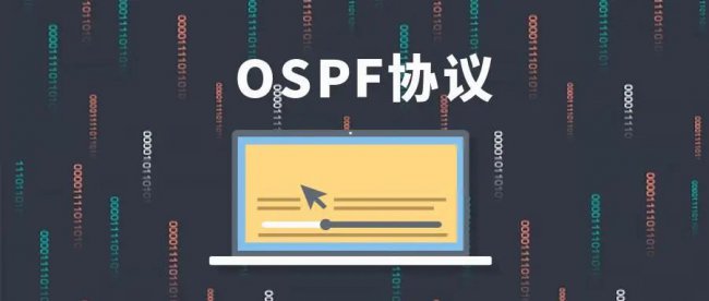 OSPF常见数据包格式