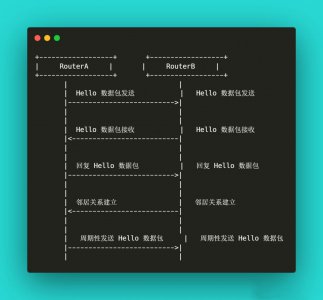OSPF邻居发现过程 OSPF邻居发现的步骤