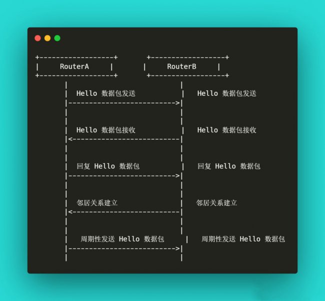 OSPF邻居发现过程