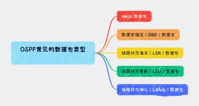 OSPF数据包类型有哪些