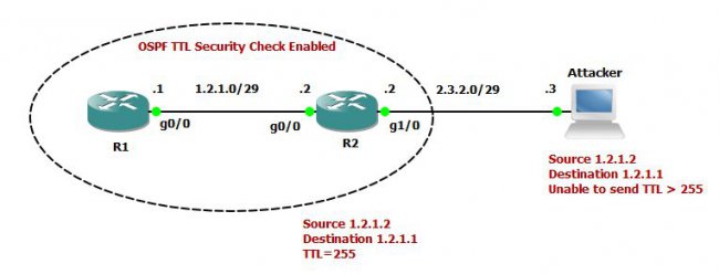 如何启用OSPF