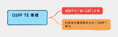 OSPF TE原理详解
