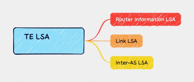 OSPF TE原理详解