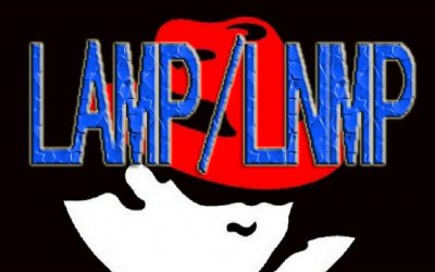 深度比较:LNMP与LAMP哪个更适合你?
